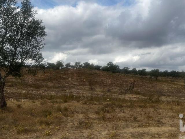 Terreno venda em Santiago Do Cacém, Setúbal