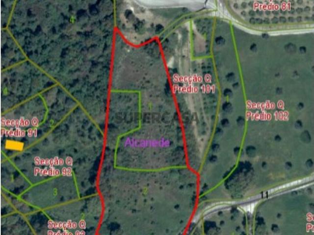 Terreno venda em Pé da Pedreira, Santarém