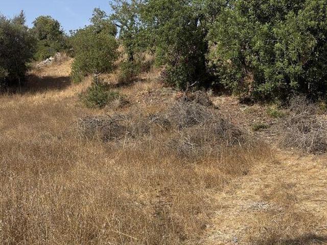 Terreno venda em Várzeas do Poço da Figueira, Tunes