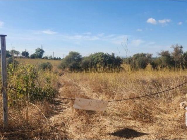 Terreno venda em Amendoais e Cortezães, Faro