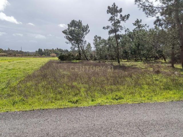 Terreno venda em Figueira Da Foz, Coimbra