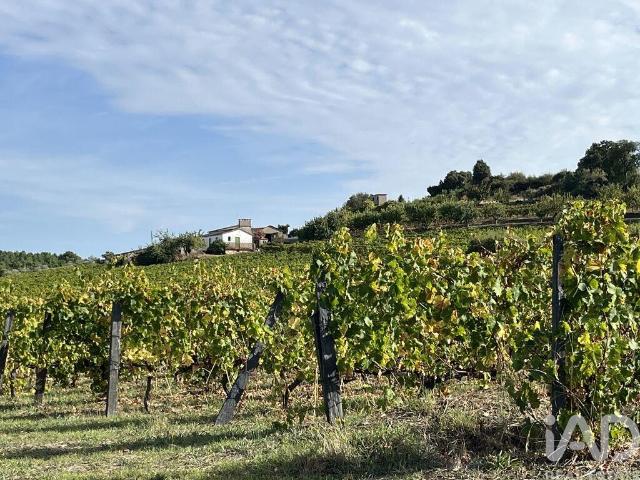 Terreno venda em Alijó