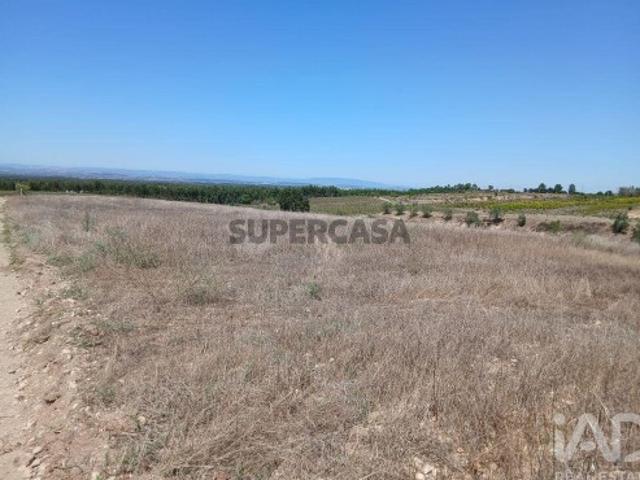 Terreno venda em Alpiarça, Santarém