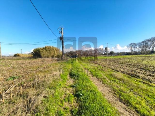 Terreno venda em Alpiarça, Santarém