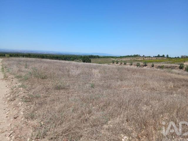 Terreno venda em Alpiarça, Santarém