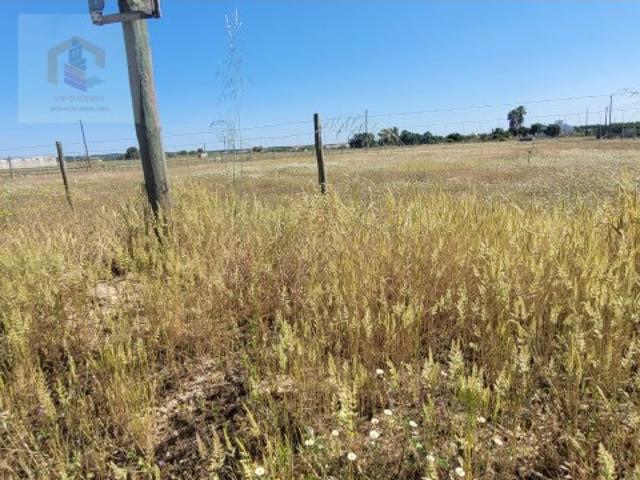 Terreno venda em Alpiarça, Santarém