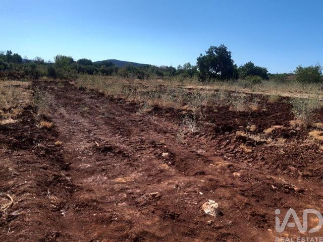 Terreno venda em Loulé, Faro