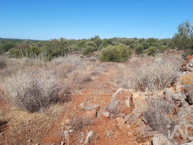 Terreno venda em Monte Brito, Loulé