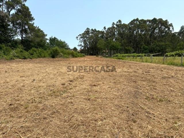 Terreno venda em Viana Do Castelo