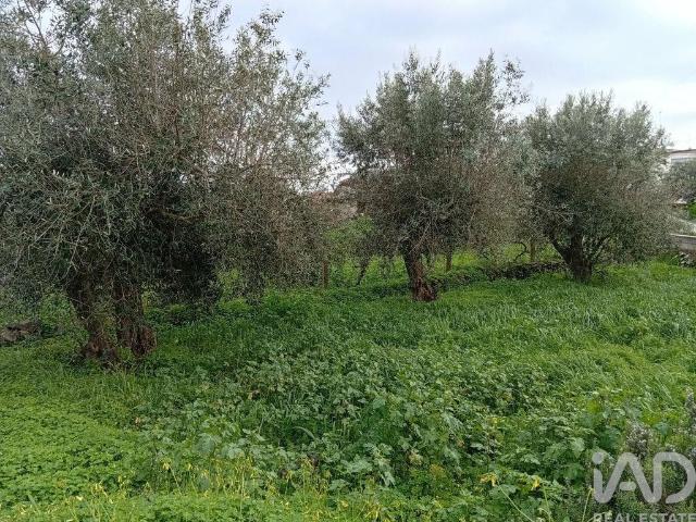 Terreno venda em Loulé, Faro