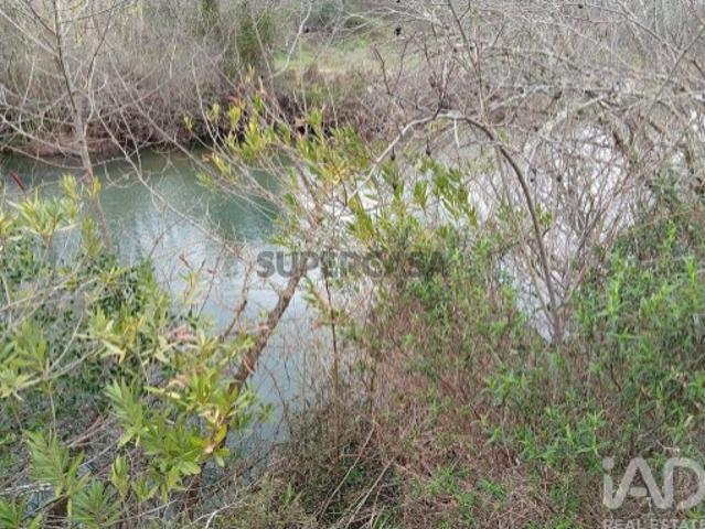 Terreno venda em Loulé, Faro