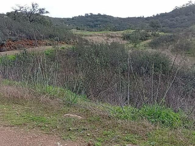 Terreno venda em Loulé, Faro