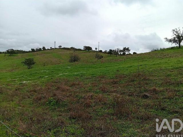 Terreno venda em Loulé, Faro