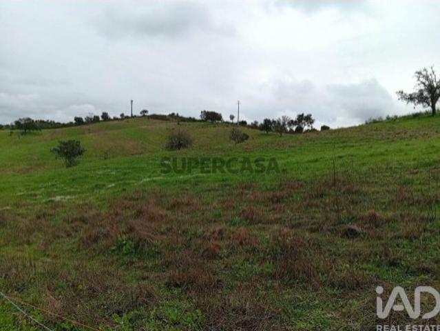 Terreno venda em Loulé, Faro