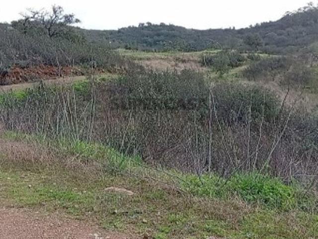 Terreno venda em Loulé, Faro