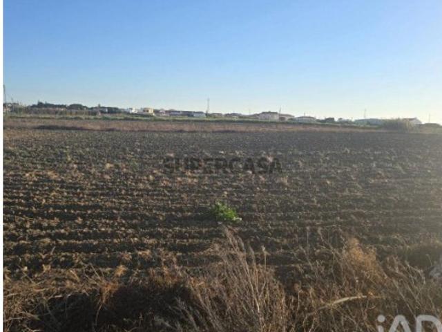 Terreno venda em Peniche, Leiria