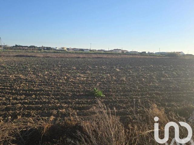 Terreno venda em Peniche, Leiria