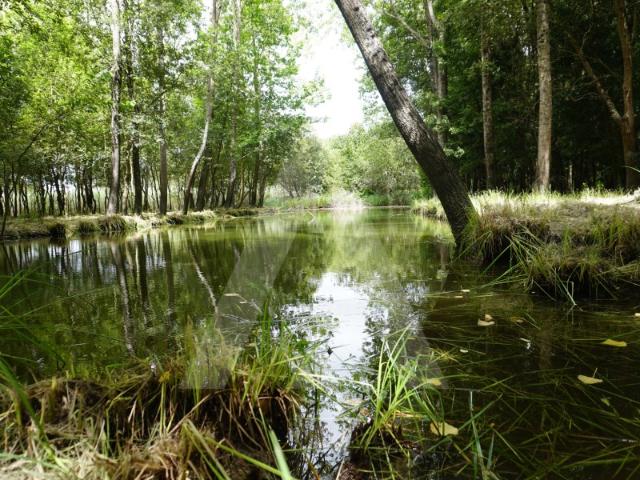 Terreno venda em Aveiro