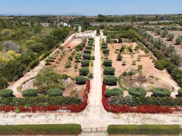 Terreno venda em Rio Maior, Santarém