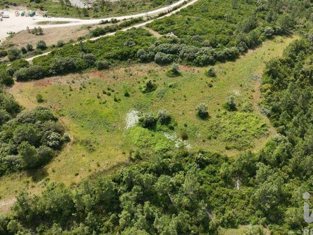 Terreno venda em Rio Maior, Santarém
