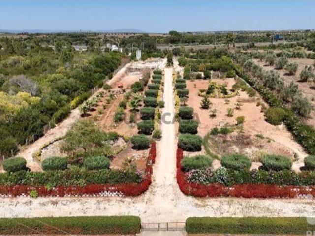 Terreno venda em Alfouvés, Rio Maior