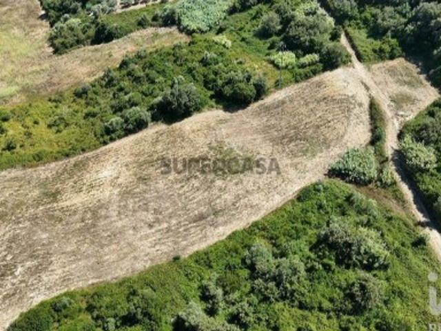 Terreno venda em Alfouvés, Rio Maior