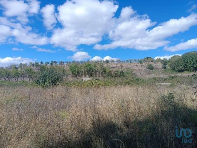 Terreno venda em Mogadouro, Bragança