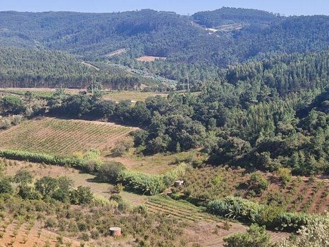 Terreno venda em Mafra, Lisboa