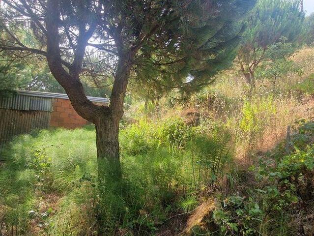 Terreno venda em Mafra, Lisboa