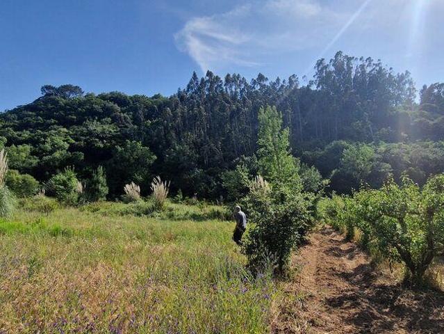 Terreno venda em Mafra, Lisboa