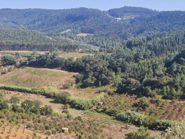 Terreno venda em Mafra, Lisboa