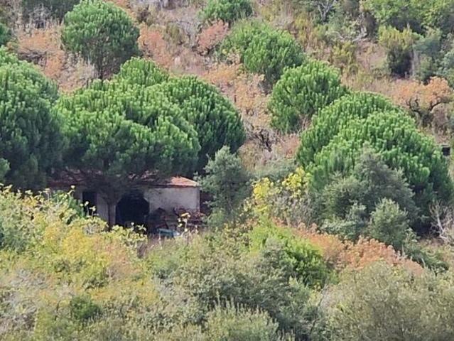Terreno venda em Mafra, Lisboa