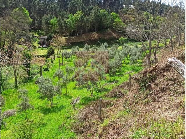 Terreno venda em Castelo De Paiva, Aveiro