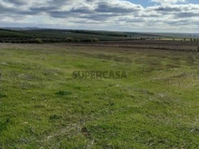Terreno venda em Beja