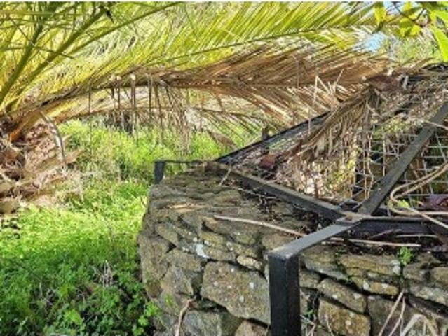 Terreno venda em Barão de São Miguel, Vila do Bispo