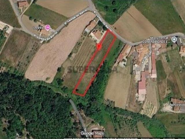 Terreno venda em Pinhal Fanheiro, Alcobaça