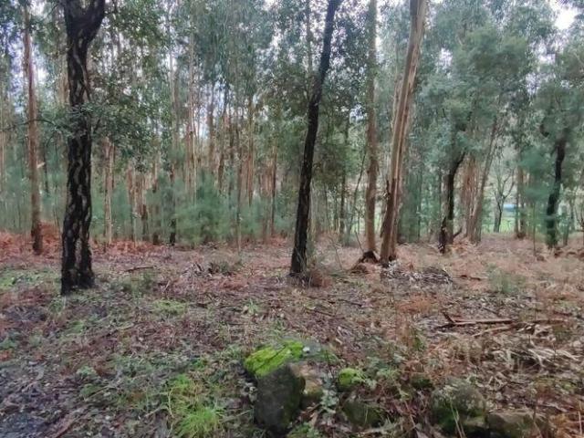 Terreno venda em Monção, Viana Do Castelo
