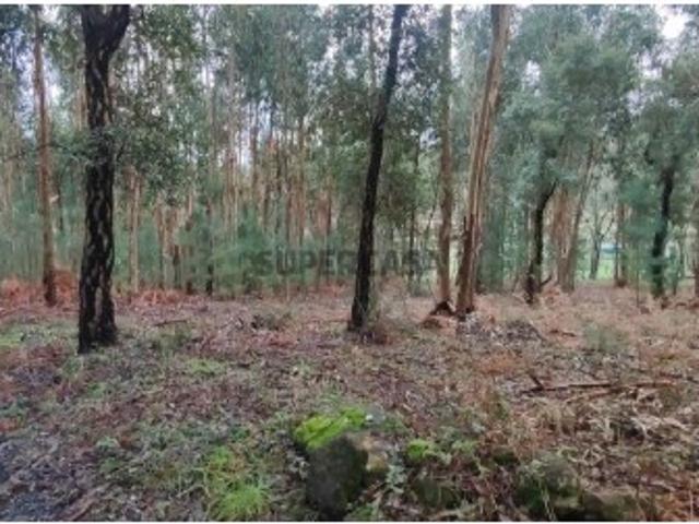 Terreno venda em Monção, Viana Do Castelo
