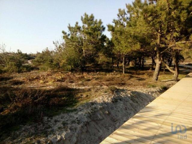 Terreno venda em Esposende