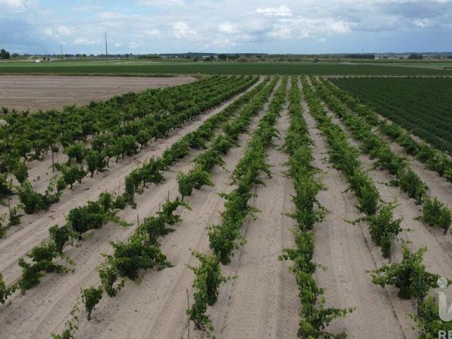 Terreno venda em Cortiçóis, Almeirim