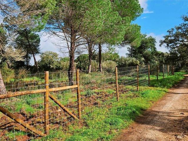 Terreno venda em Barão de São João, Lagos