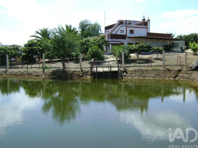 Terreno venda em Cabeça Gorda, Beja