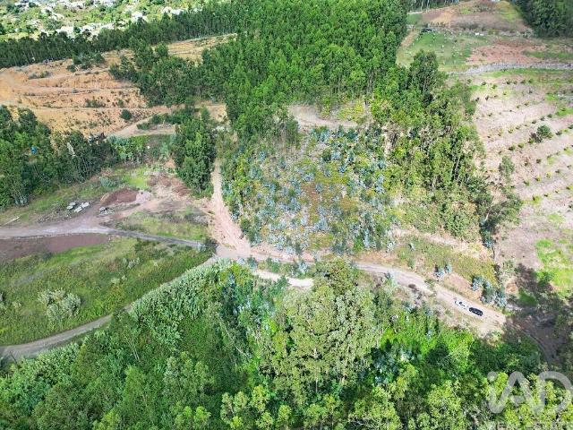 Terreno venda em Furnas e Amoreira, Ribeira Brava