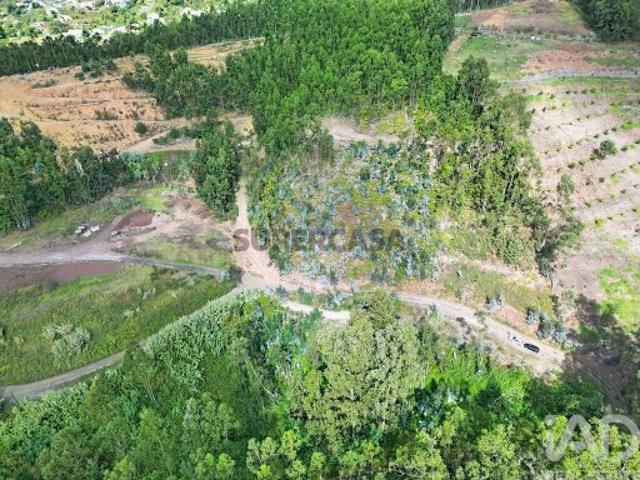 Terreno venda em Lugar da Serra, Ribeira Brava