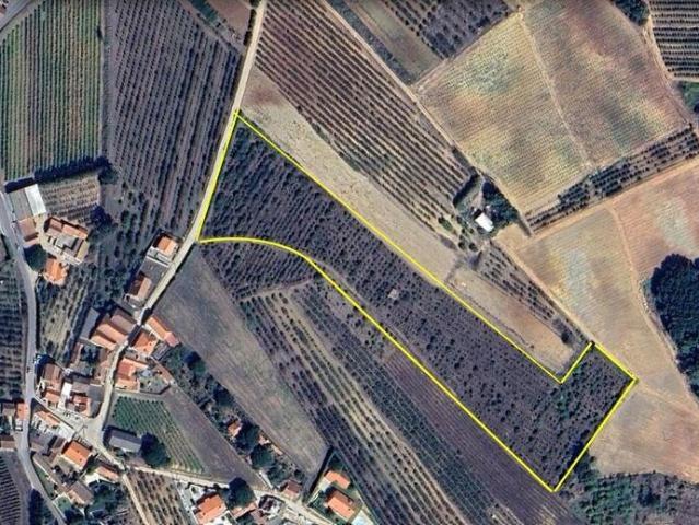 Terreno venda em Barro Lobo, Bombarral