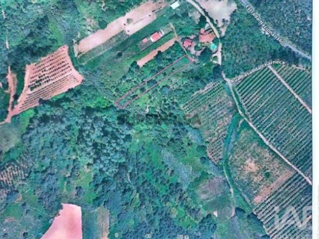 Terreno venda em Carvalhal Benfeito, Caldas Da Rainha