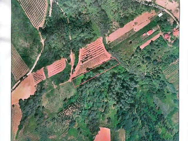 Terreno venda em Carvalhal Benfeito, Caldas Da Rainha