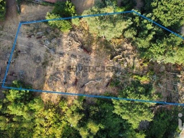 Terreno venda em Castanheira De Pêra, Leiria