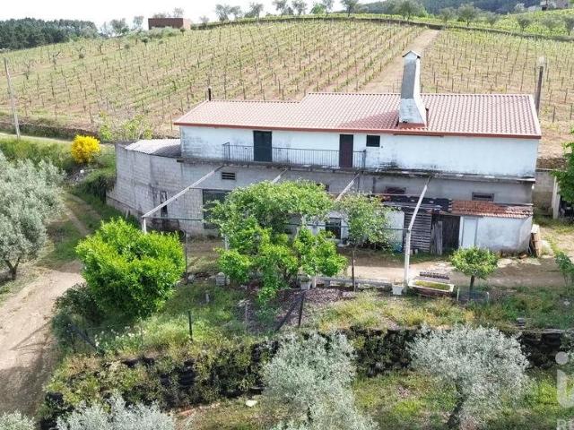 Terreno venda em Alijó, Vila Real