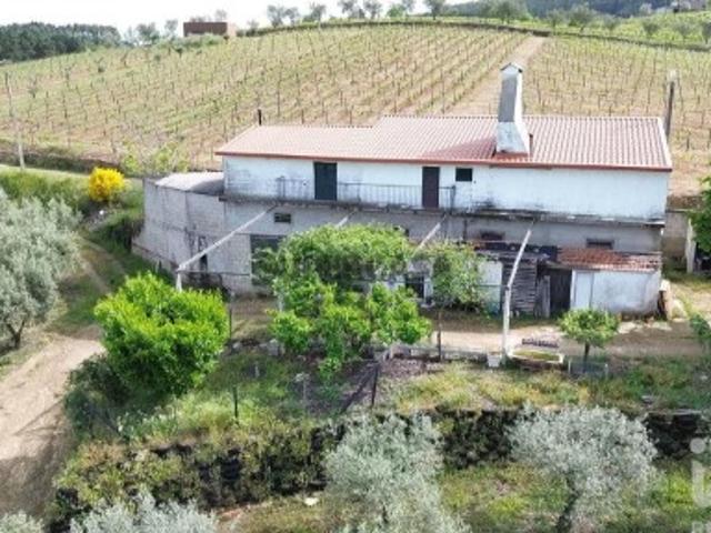 Terreno venda em Alijó, Vila Real